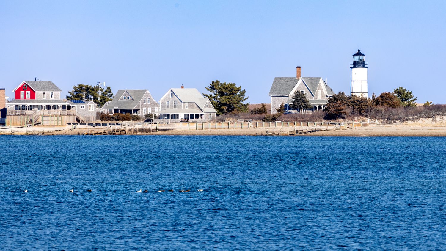 A Cape Cod lighthouse and shingled homes along the shore